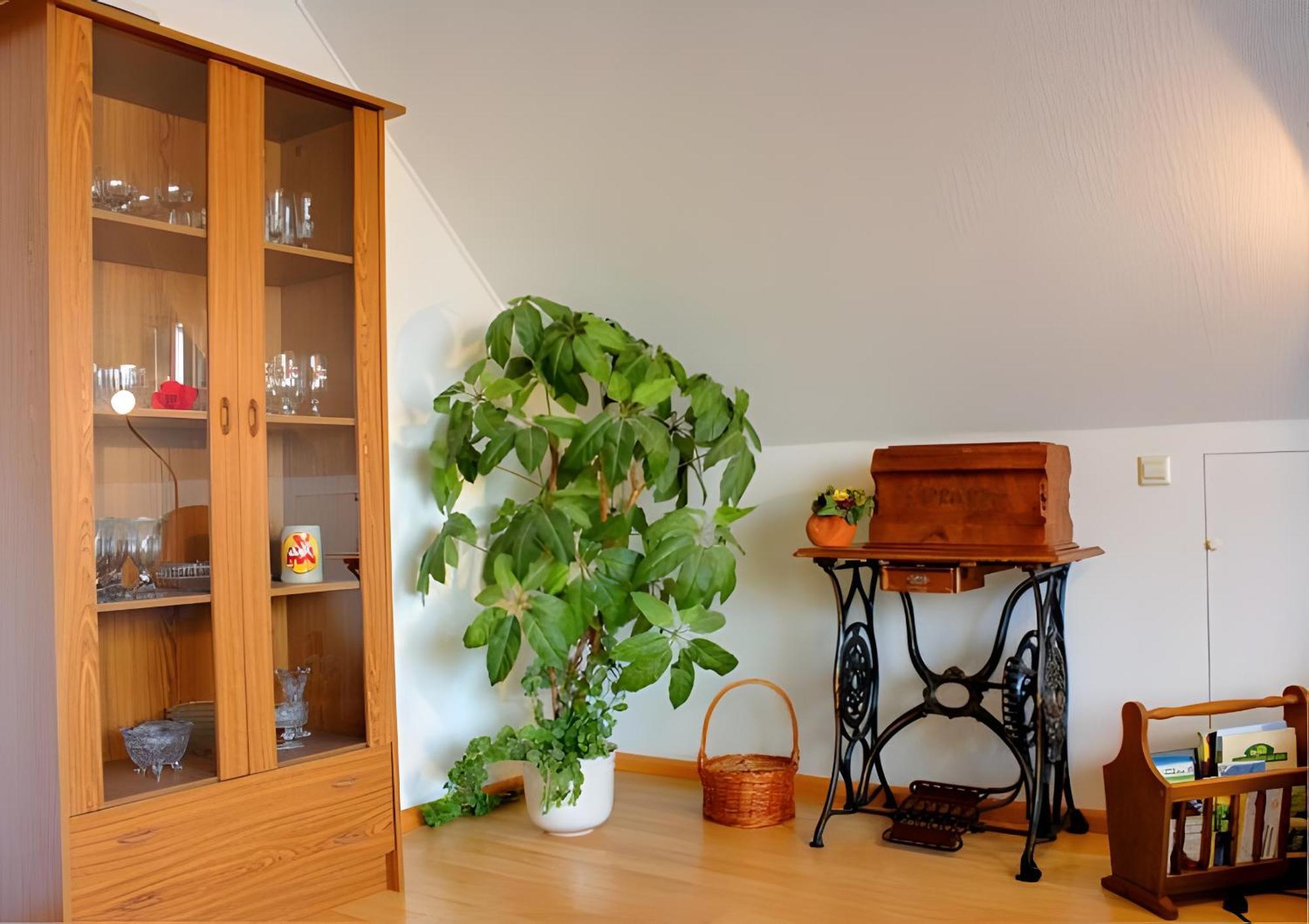 Haus Wehrle Lägenhet Breisach Exteriör bild